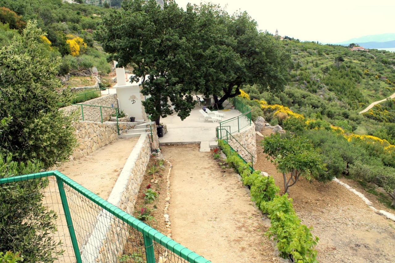 Villa " Davorka" Podgora Exterior foto