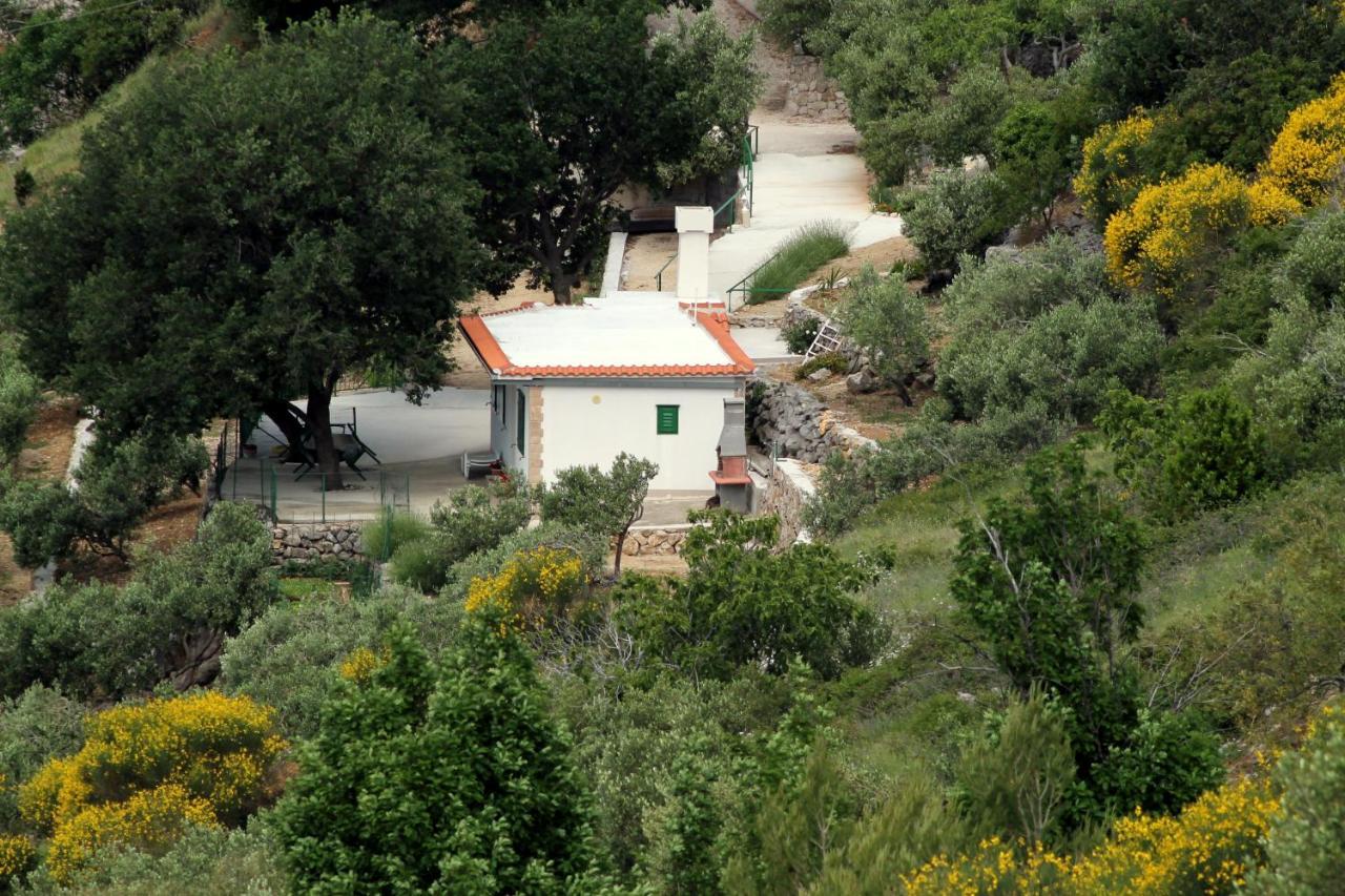 Villa " Davorka" Podgora Exterior foto