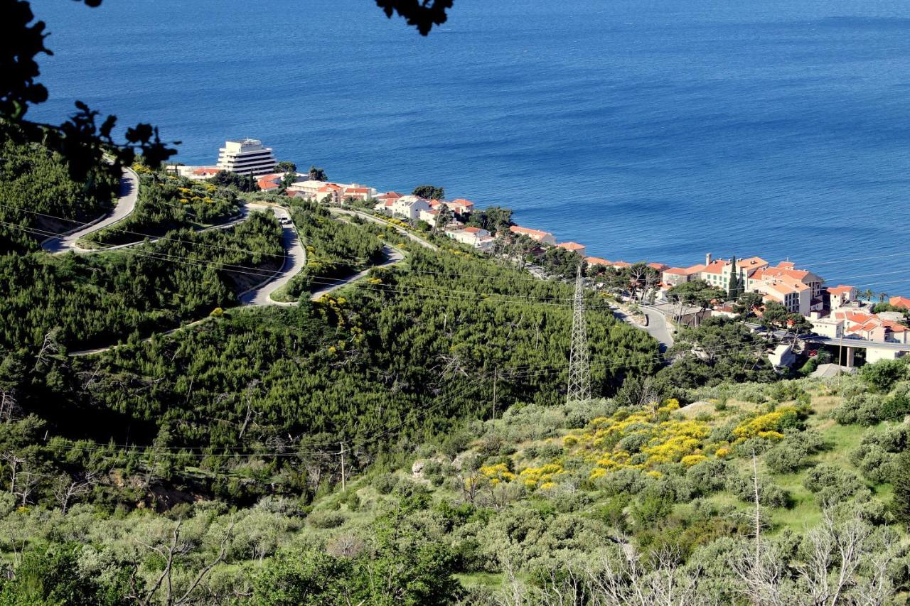 Villa " Davorka" Podgora Exterior foto