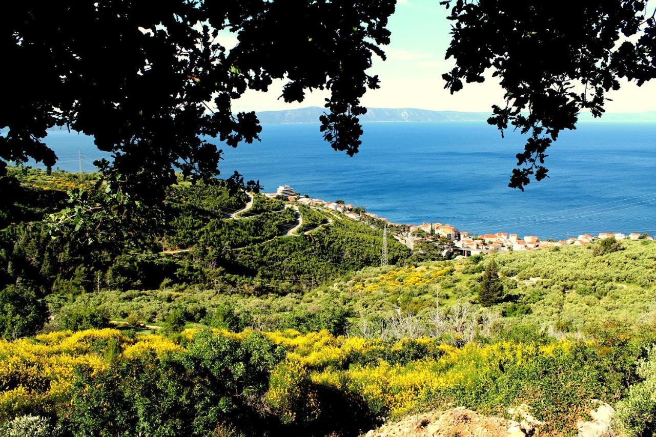 Villa " Davorka" Podgora Exterior foto