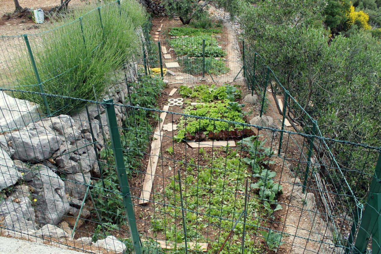 Villa " Davorka" Podgora Exterior foto