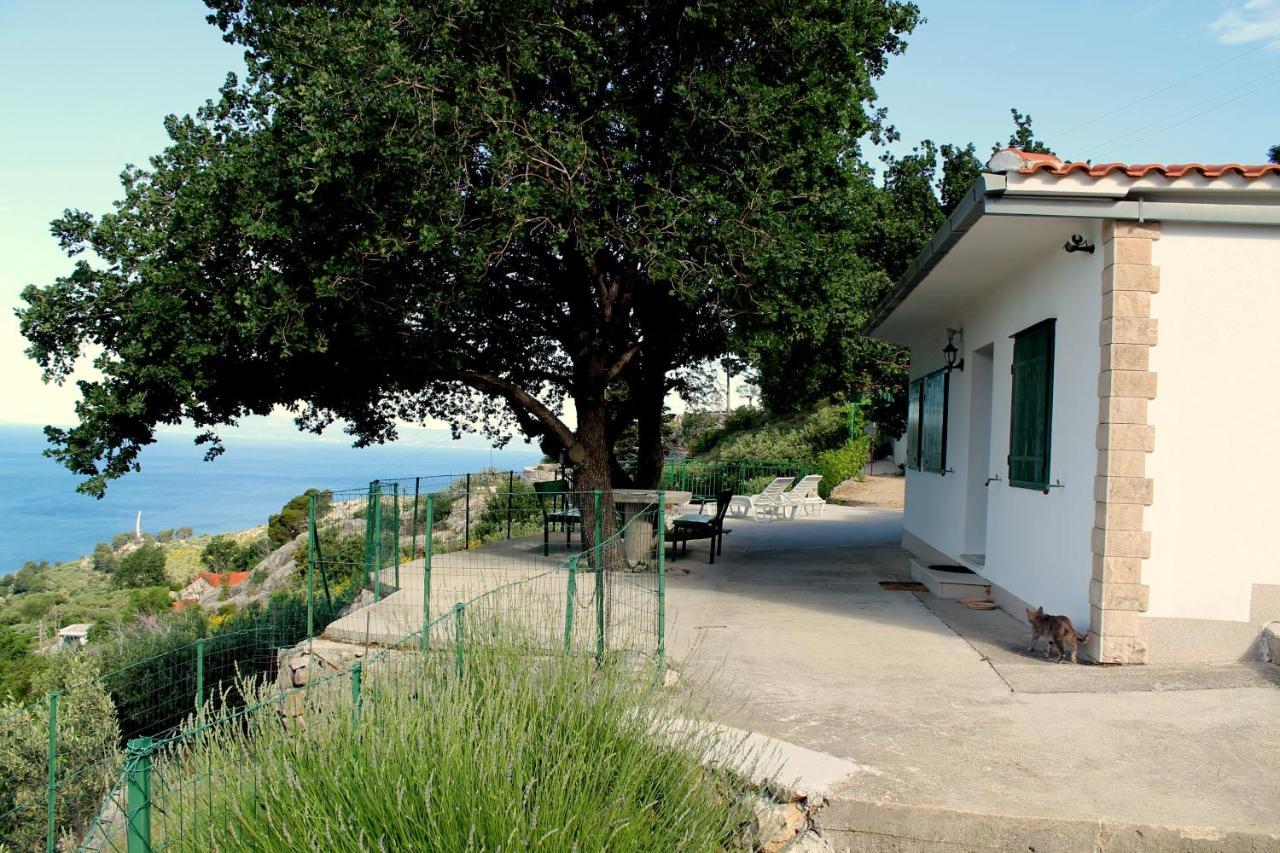 Villa " Davorka" Podgora Exterior foto