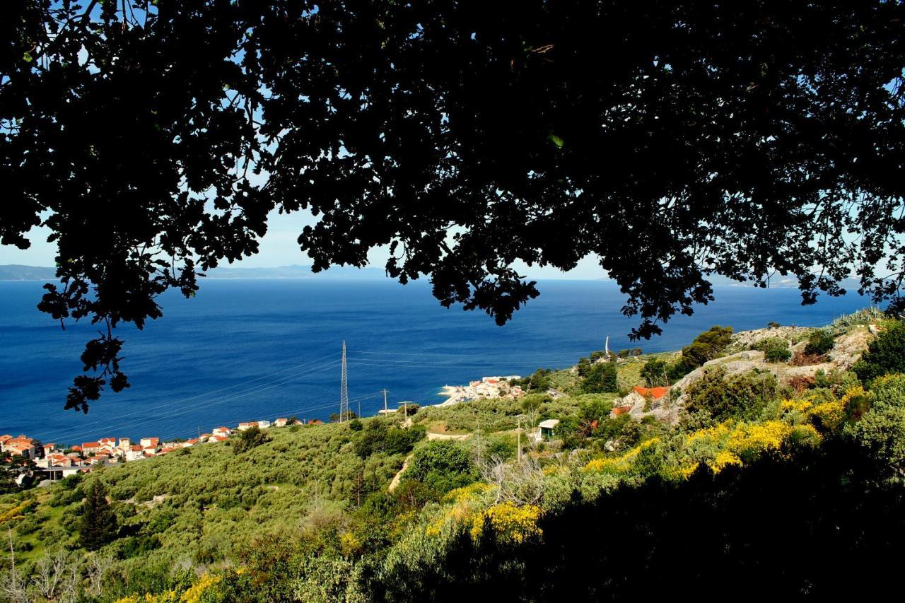 Villa " Davorka" Podgora Exterior foto