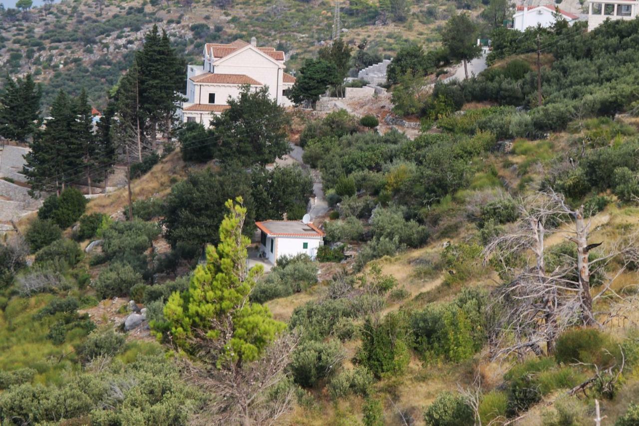 Villa " Davorka" Podgora Exterior foto