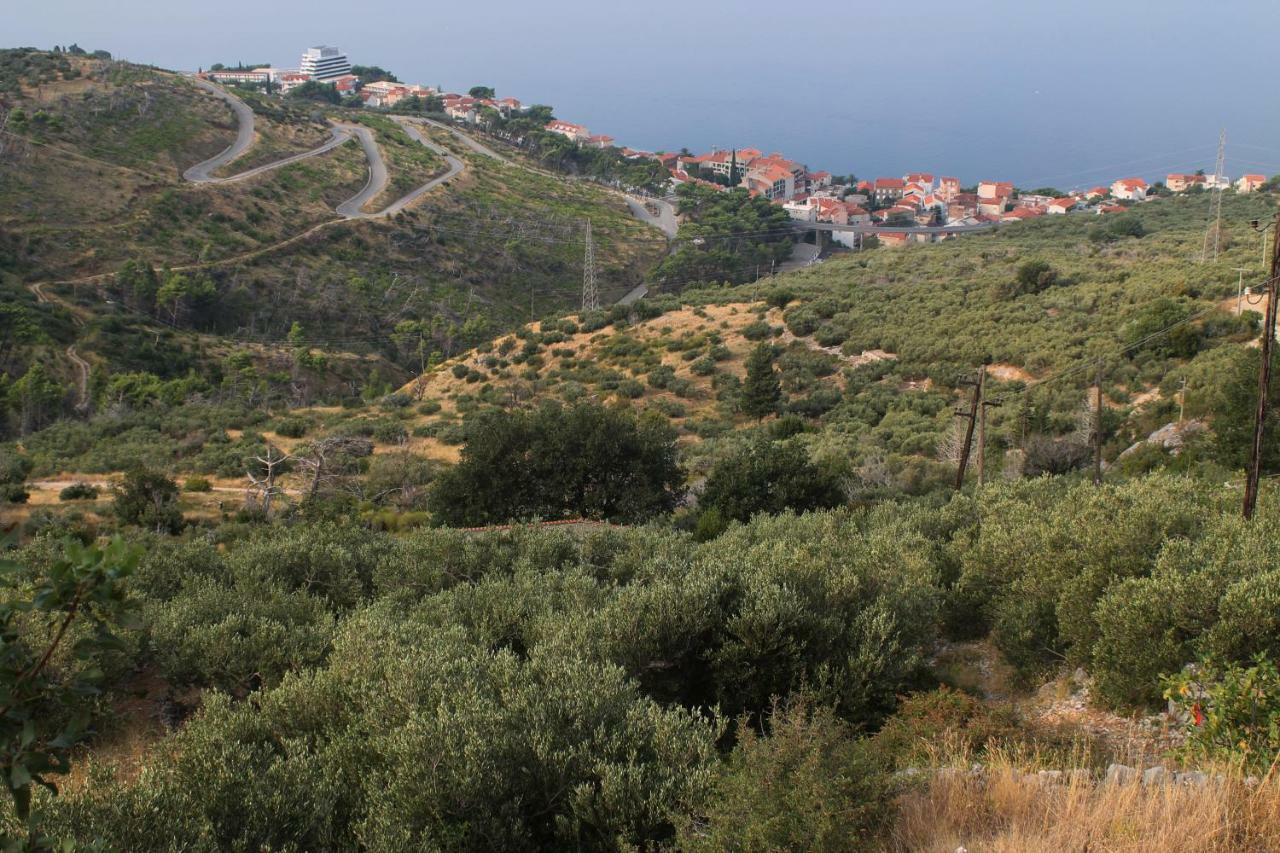 Villa " Davorka" Podgora Exterior foto