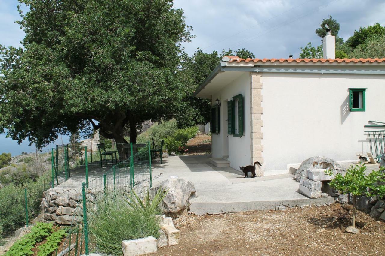 Villa " Davorka" Podgora Exterior foto